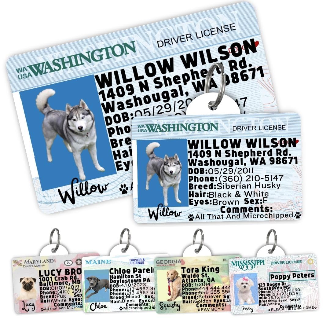 Personalized Pet ID Tag