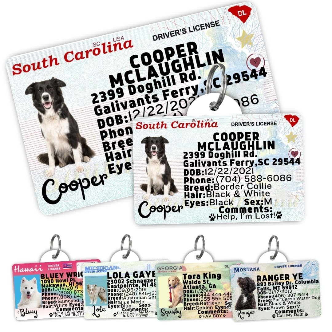 Personalized Pet ID Tag