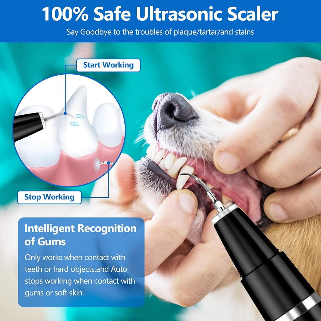 Ultrasonic Pet Plaque Remover