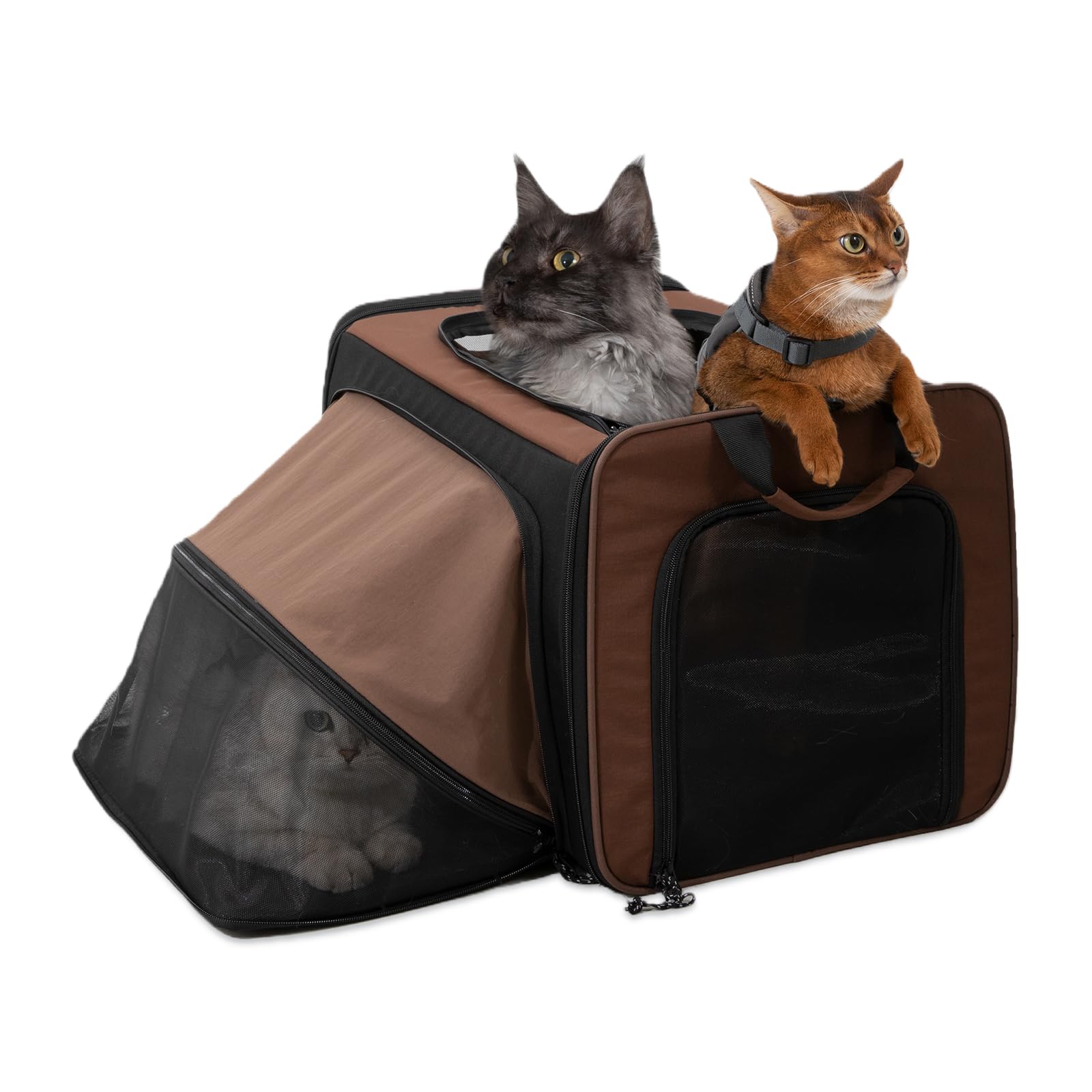 Expandable Pet Carrier for Cats and Small Dogs