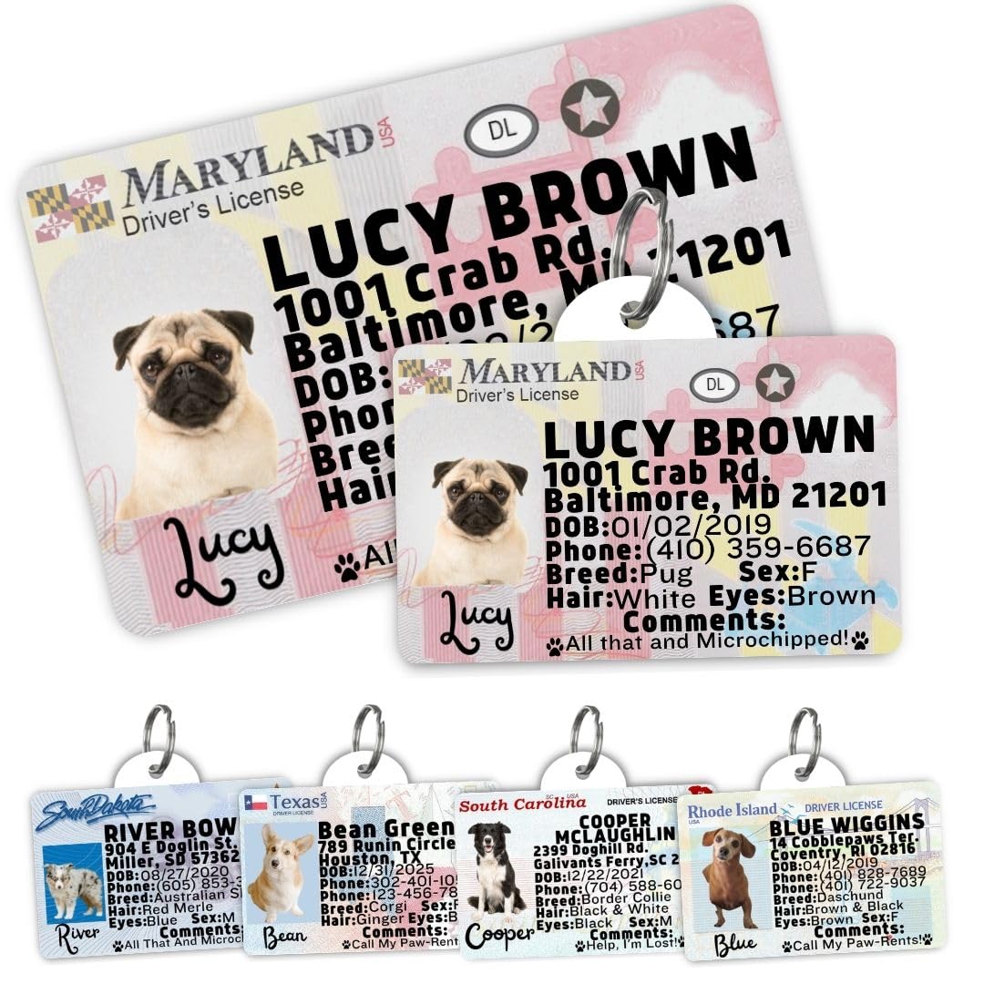 Personalized Pet ID Tag