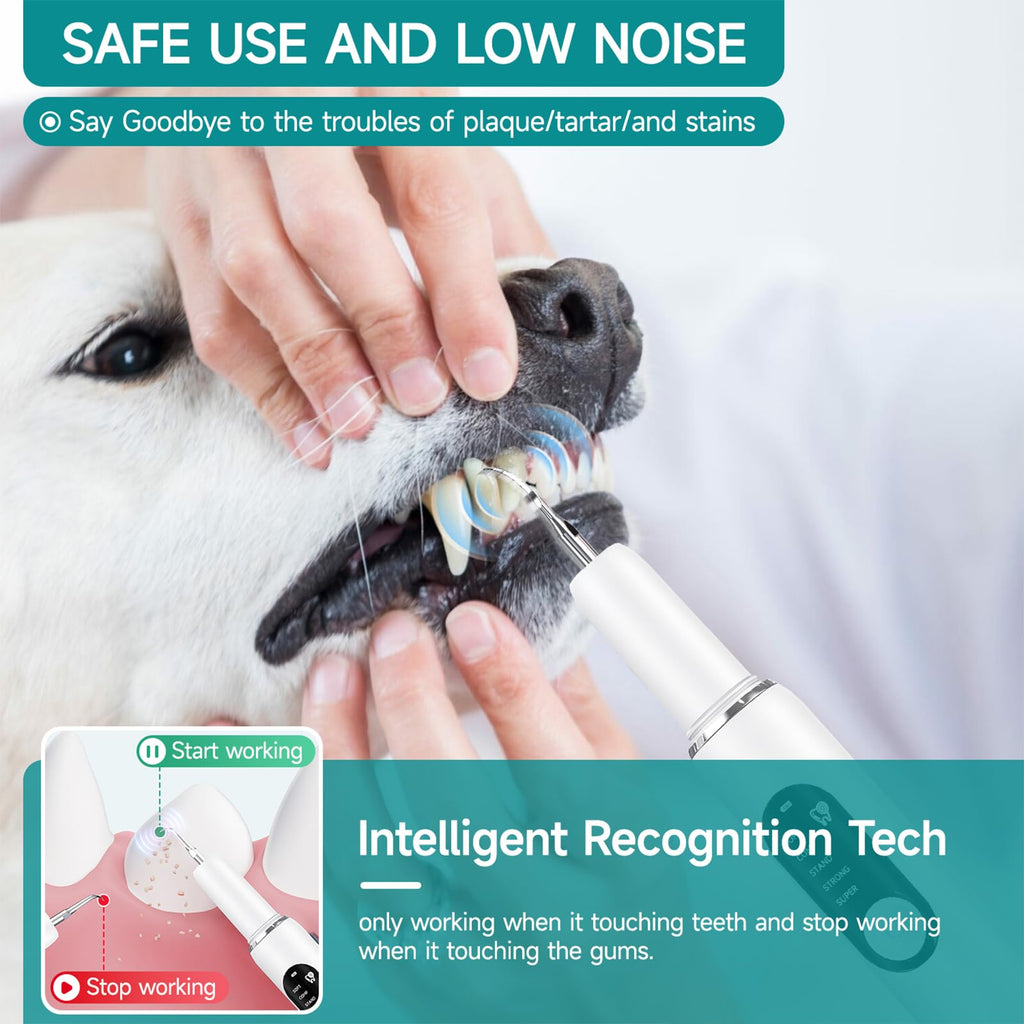 Electric Pet Plaque Remover