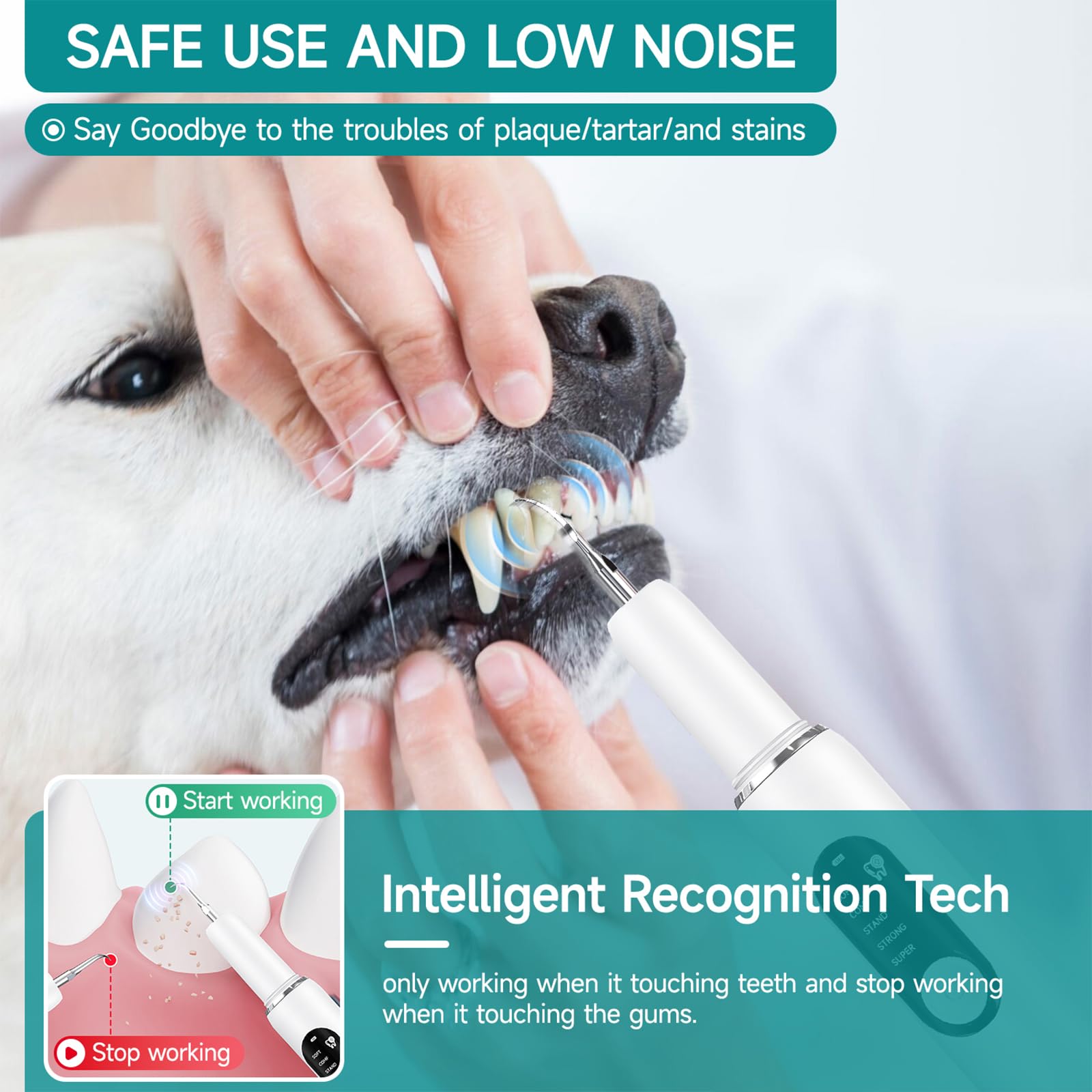 Electric Pet Plaque Remover