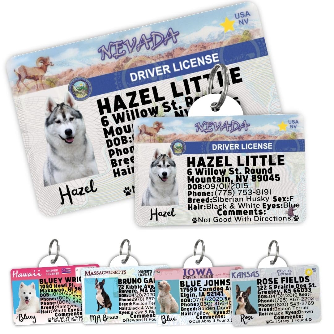 Personalized Pet ID Tag
