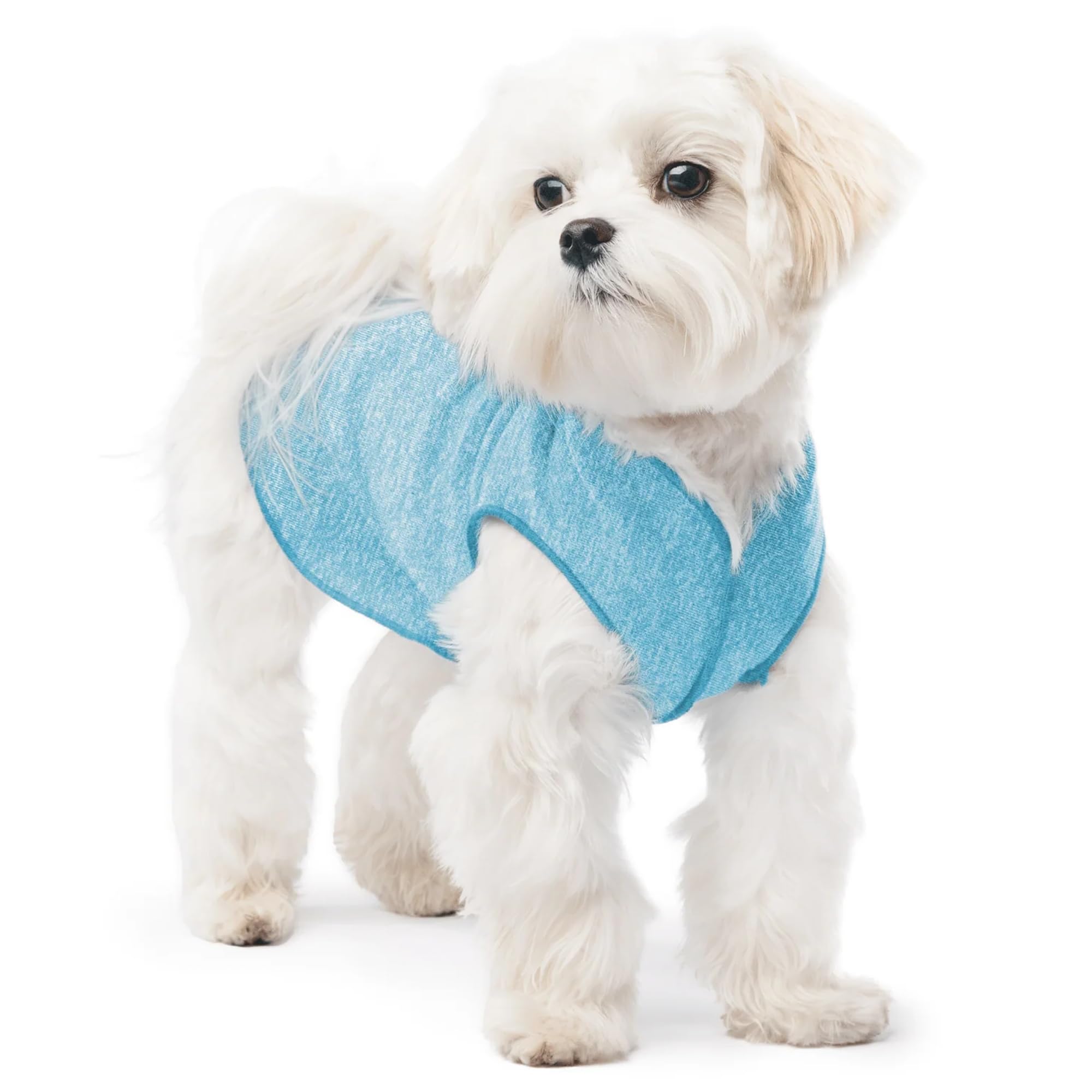 Lightweight UV Protection Dog Sun Shirt