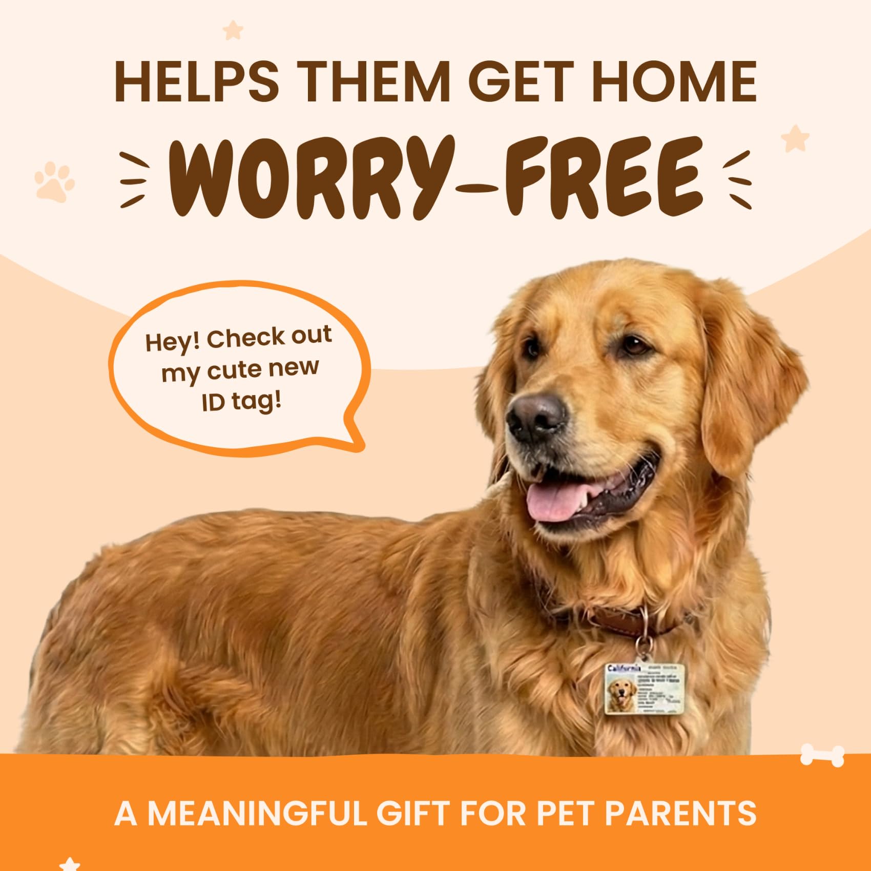Personalized Pet ID Tag