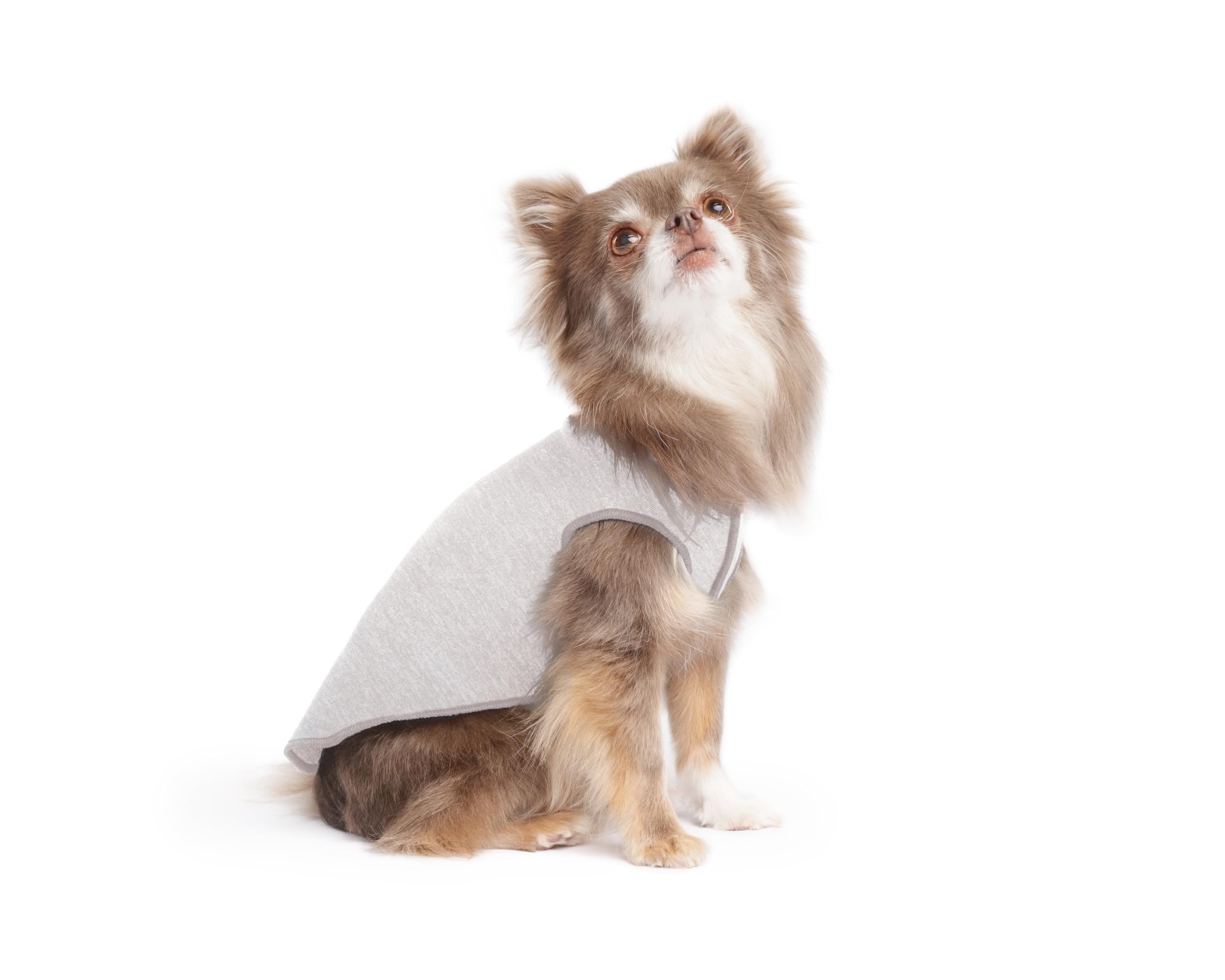 Lightweight UV Protection Dog Sun Shirt