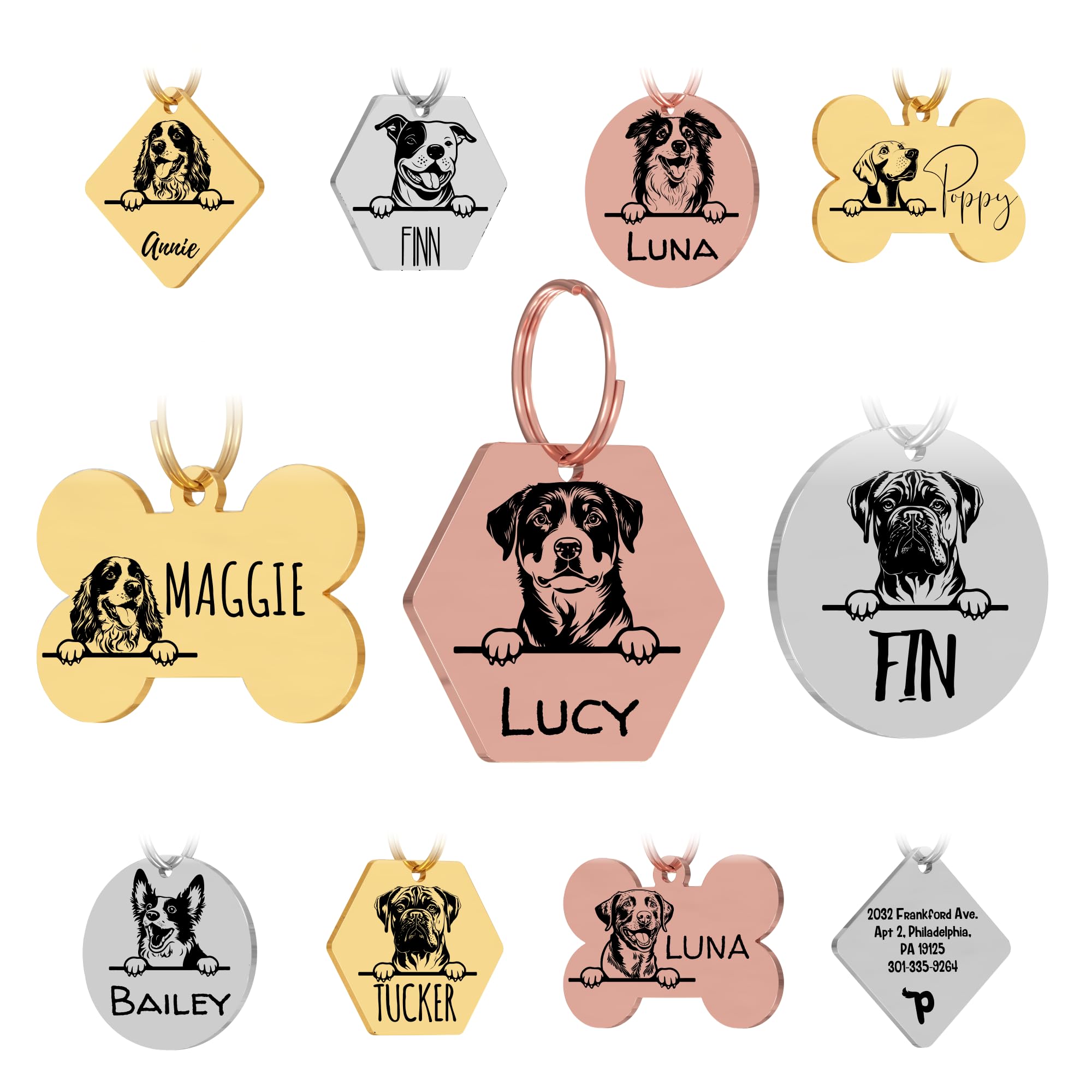 Personalized Stainless Steel Dog ID Tag