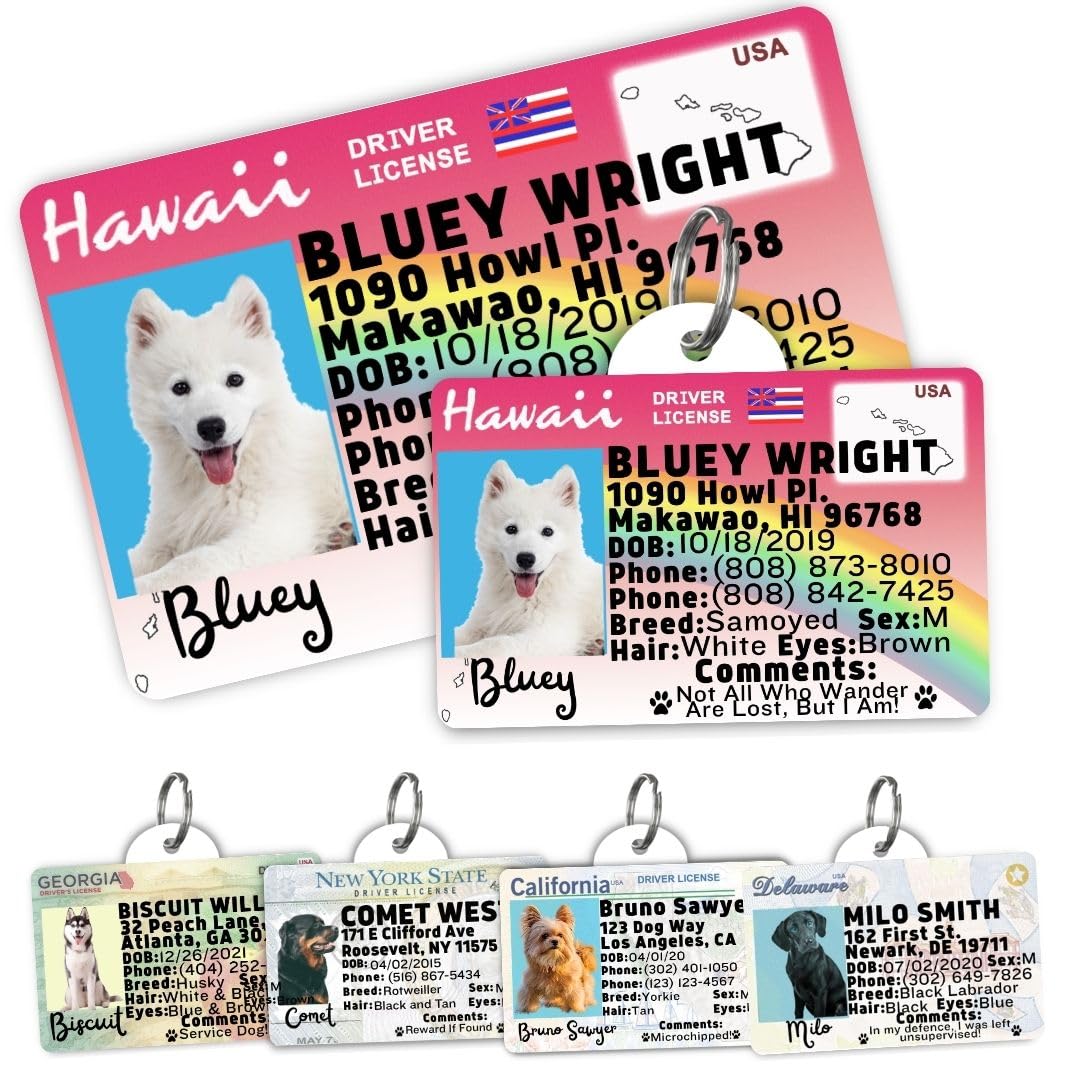 Personalized Pet ID Tag