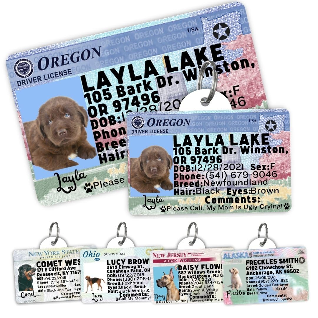 Personalized Pet ID Tag