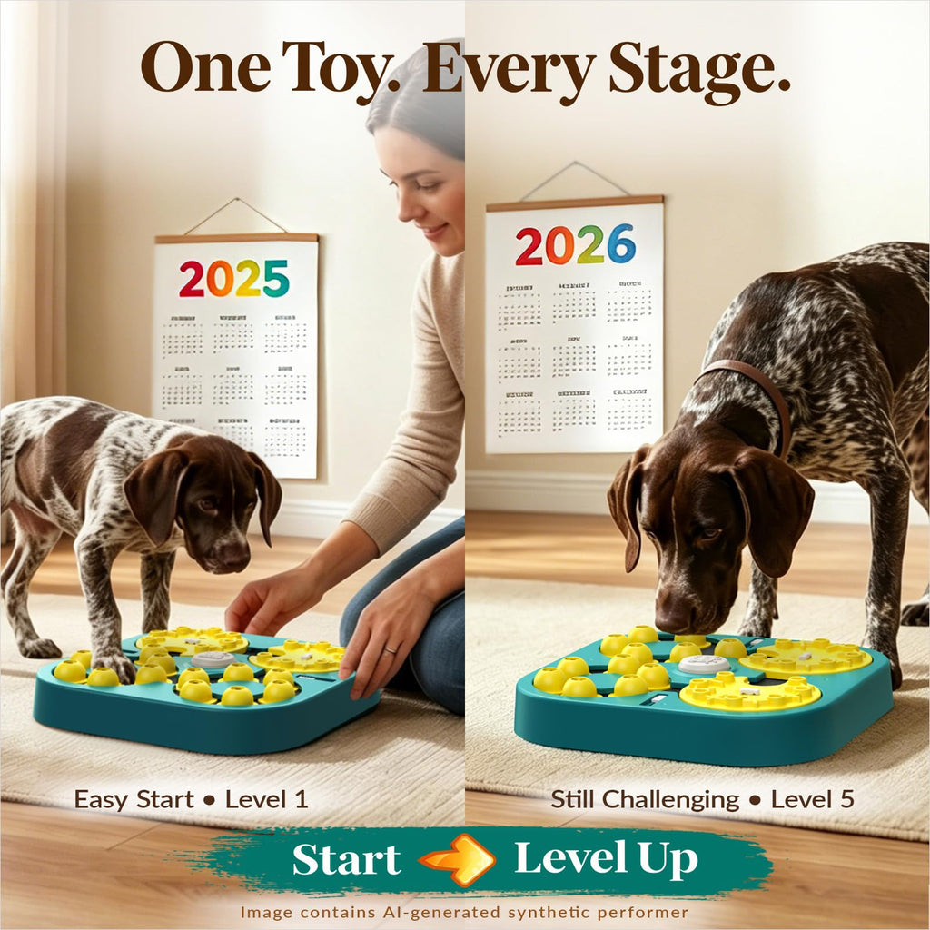 Interactive Dog Puzzle Toy