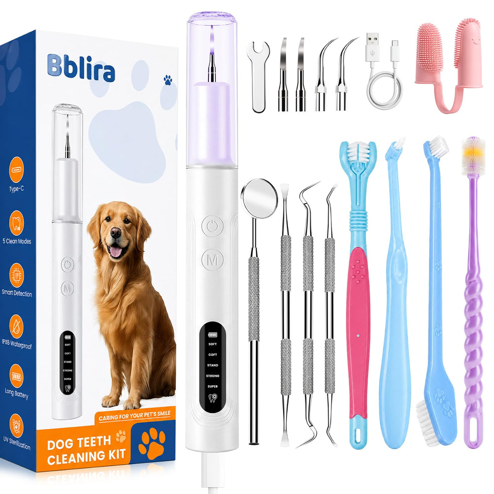 Ultrasonic Pet Plaque Remover
