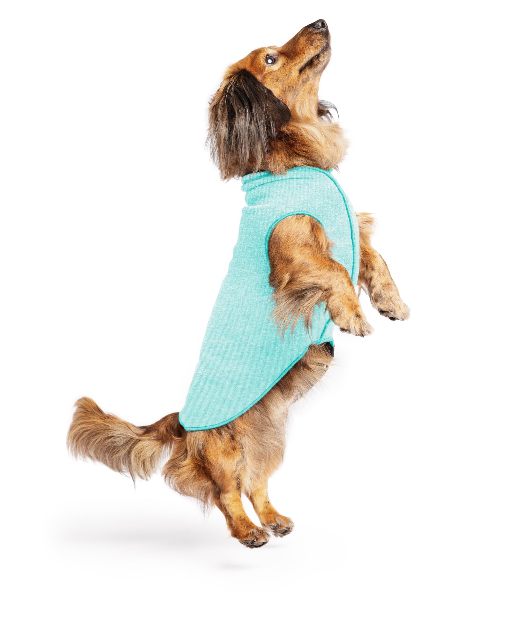 Lightweight UV Protection Dog Sun Shirt