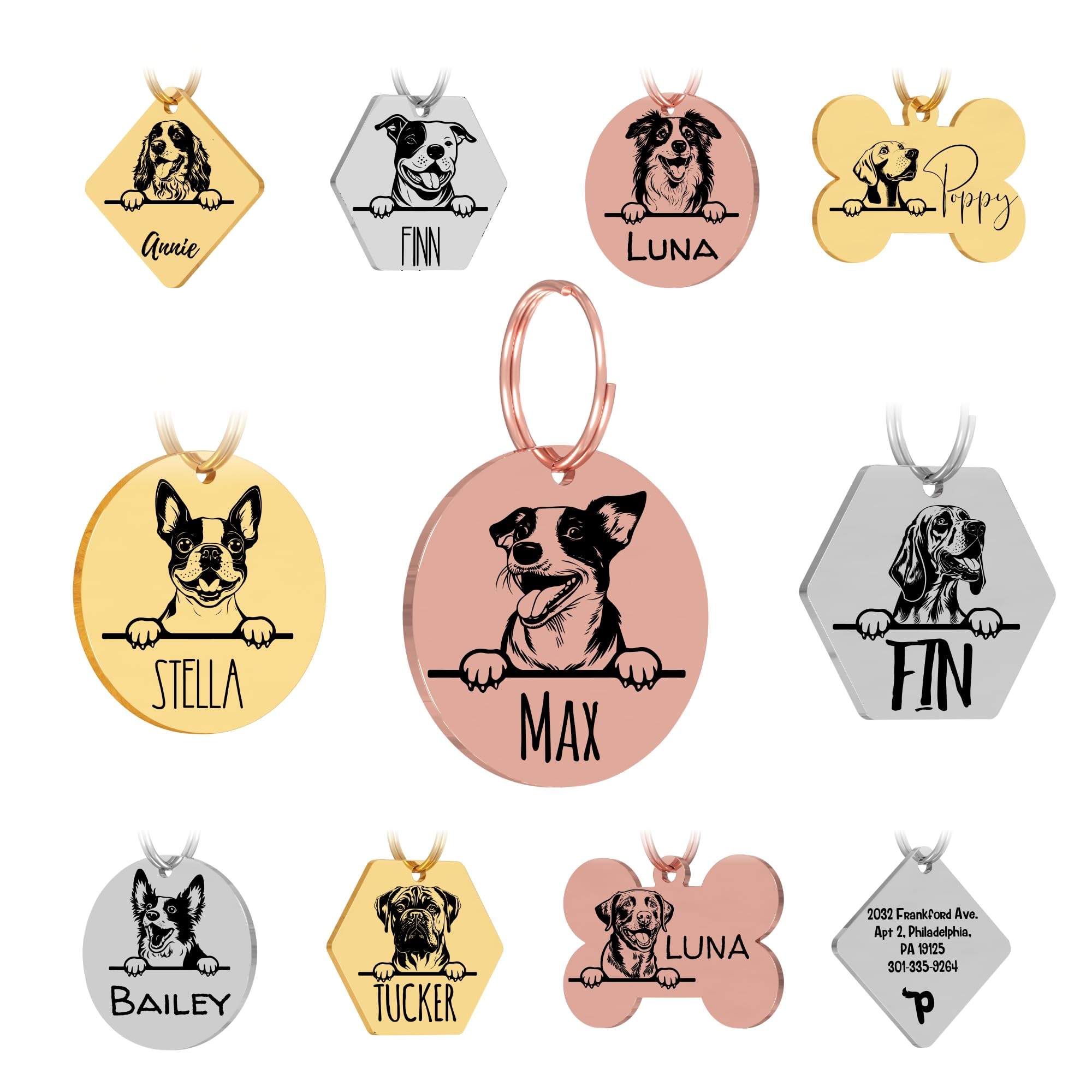 Personalized Stainless Steel Dog ID Tag
