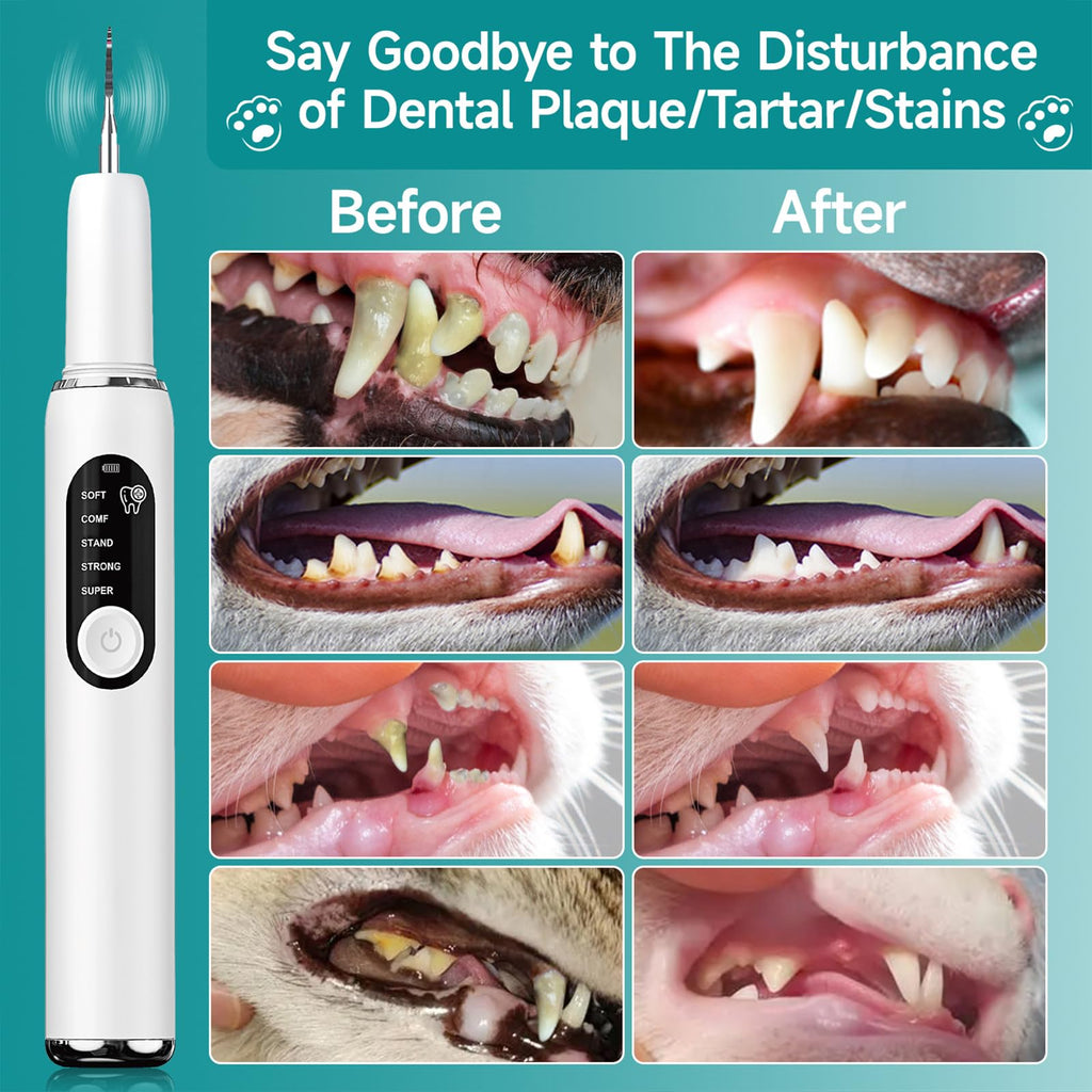 Electric Pet Plaque Remover