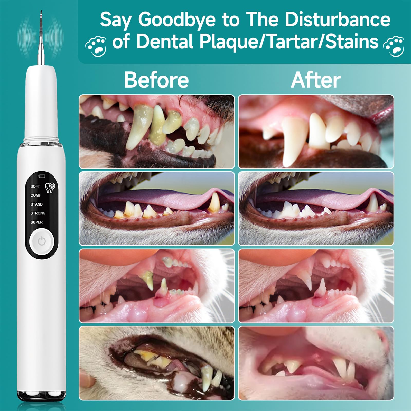 Electric Pet Plaque Remover