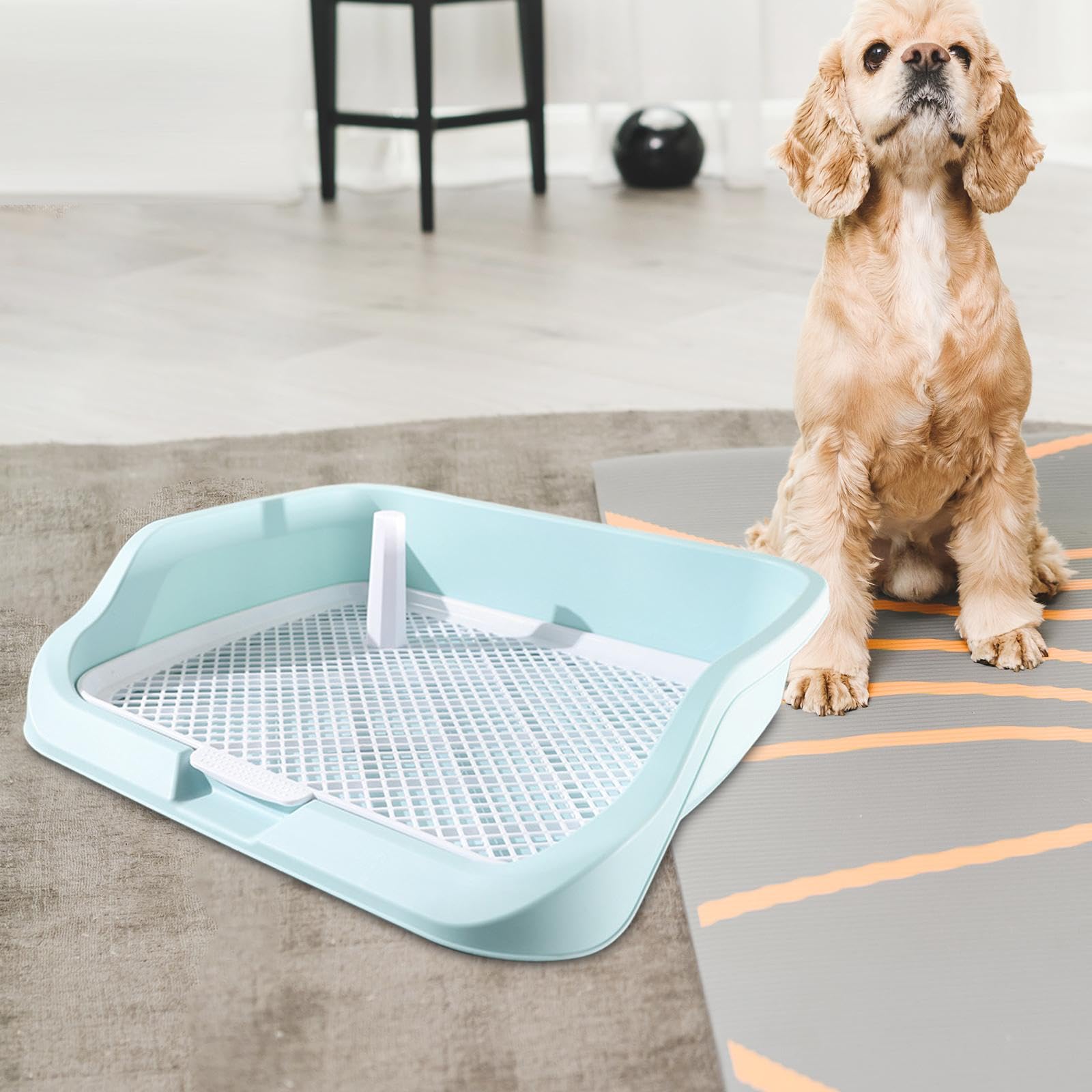 Portable Pet Potty Training Tray