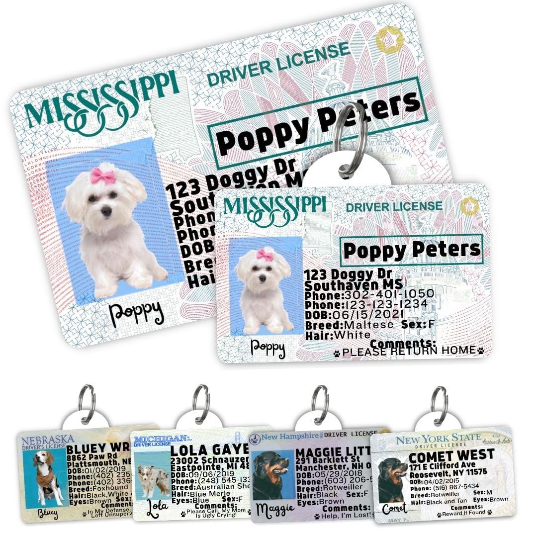 Personalized Pet ID Tag