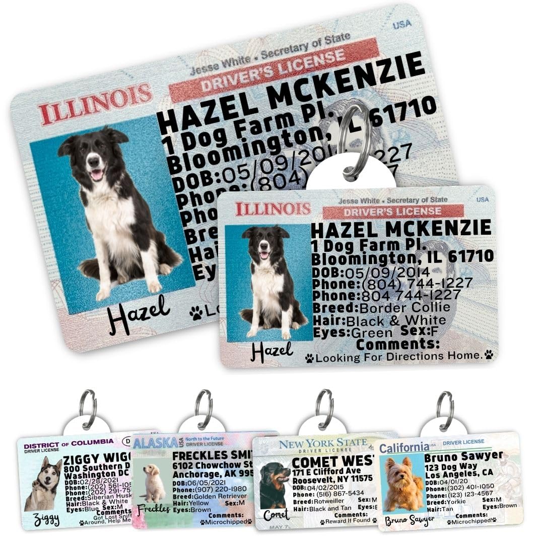 Personalized Pet ID Tag