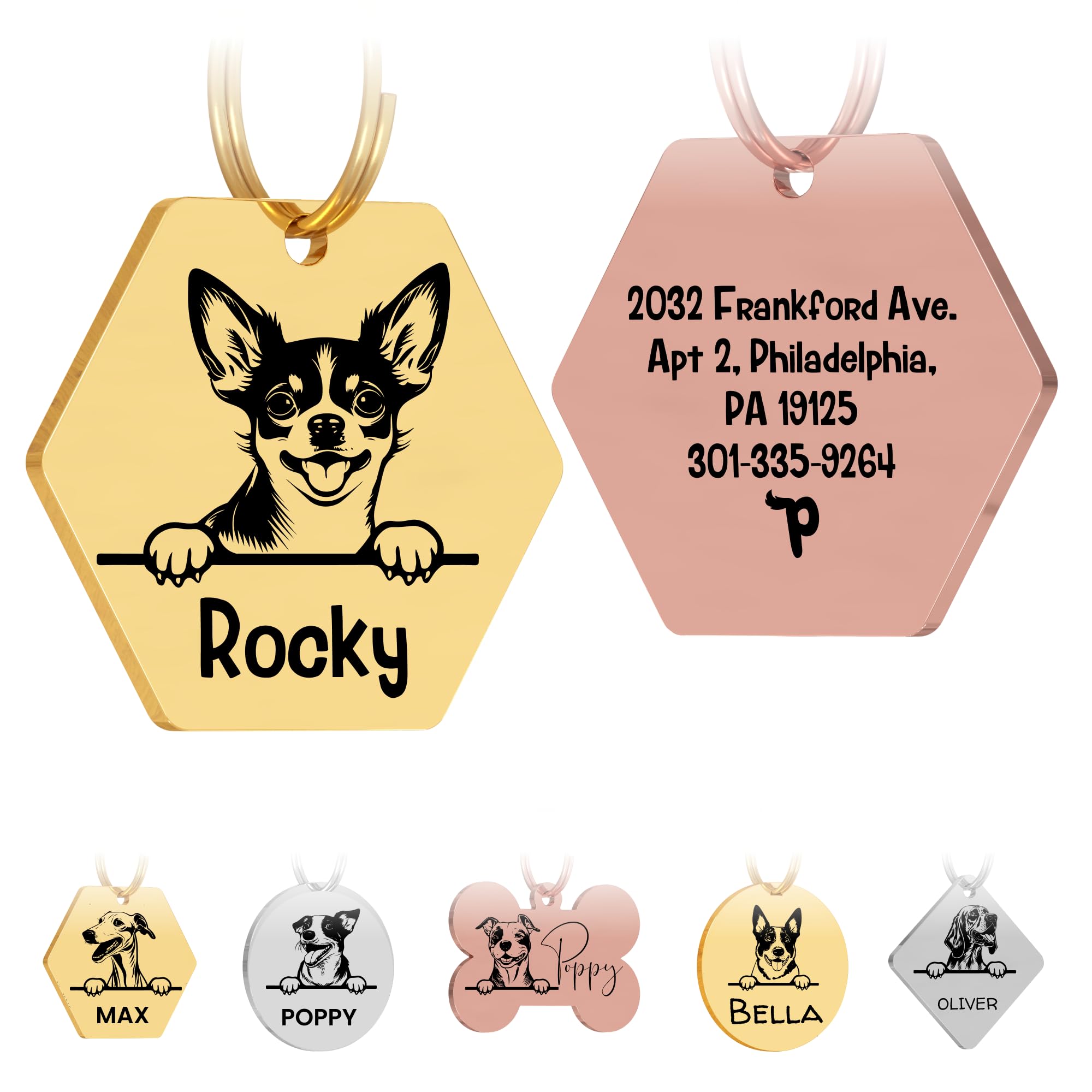 Personalized Stainless Steel Dog ID Tag