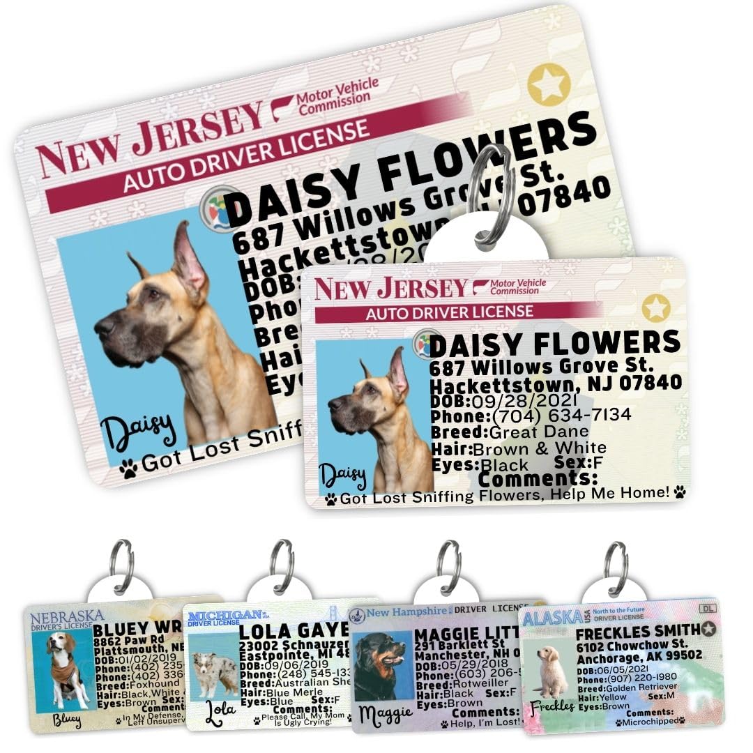 Personalized Pet ID Tag