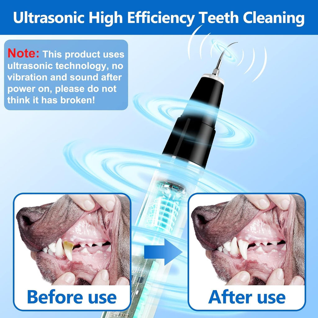 Ultrasonic Pet Plaque Remover