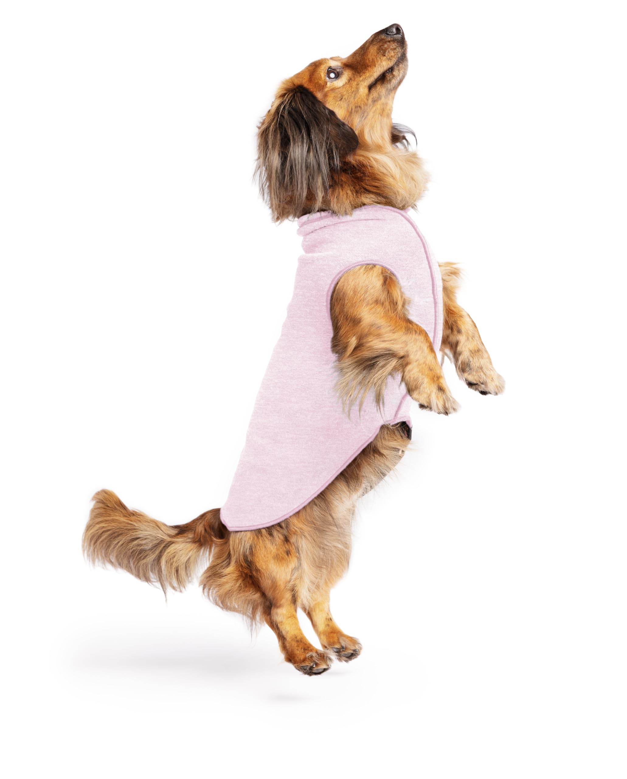 Lightweight UV Protection Dog Sun Shirt