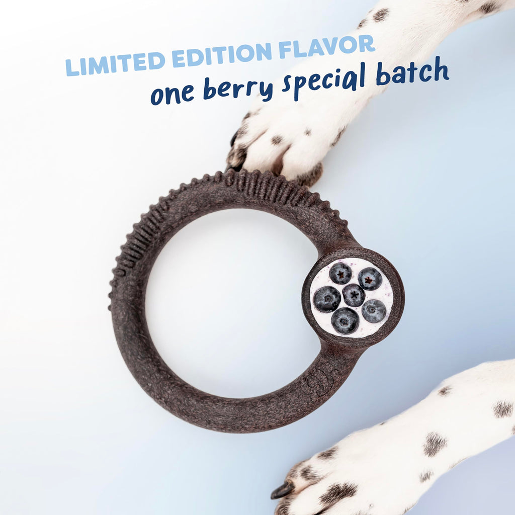 Durable Dog Chew Bones for Aggressive Chewers