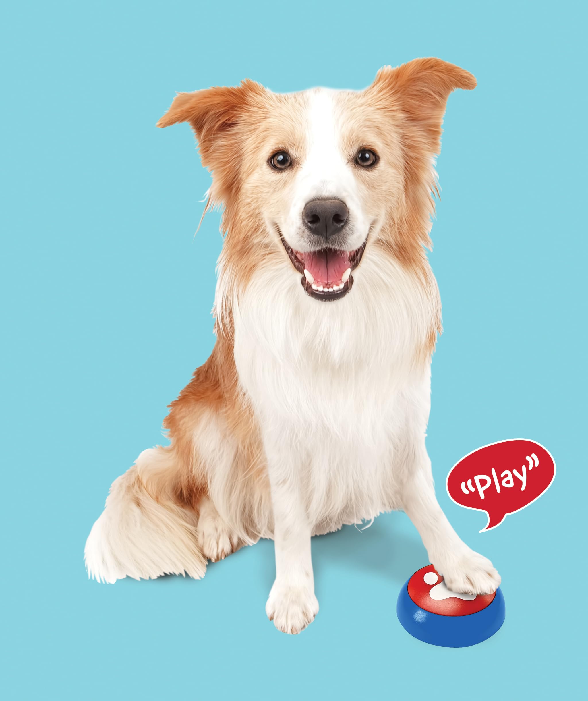 Pet Communication Buttons with Voice Recording