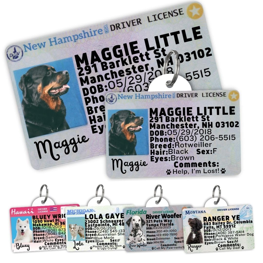 Personalized Pet ID Tag