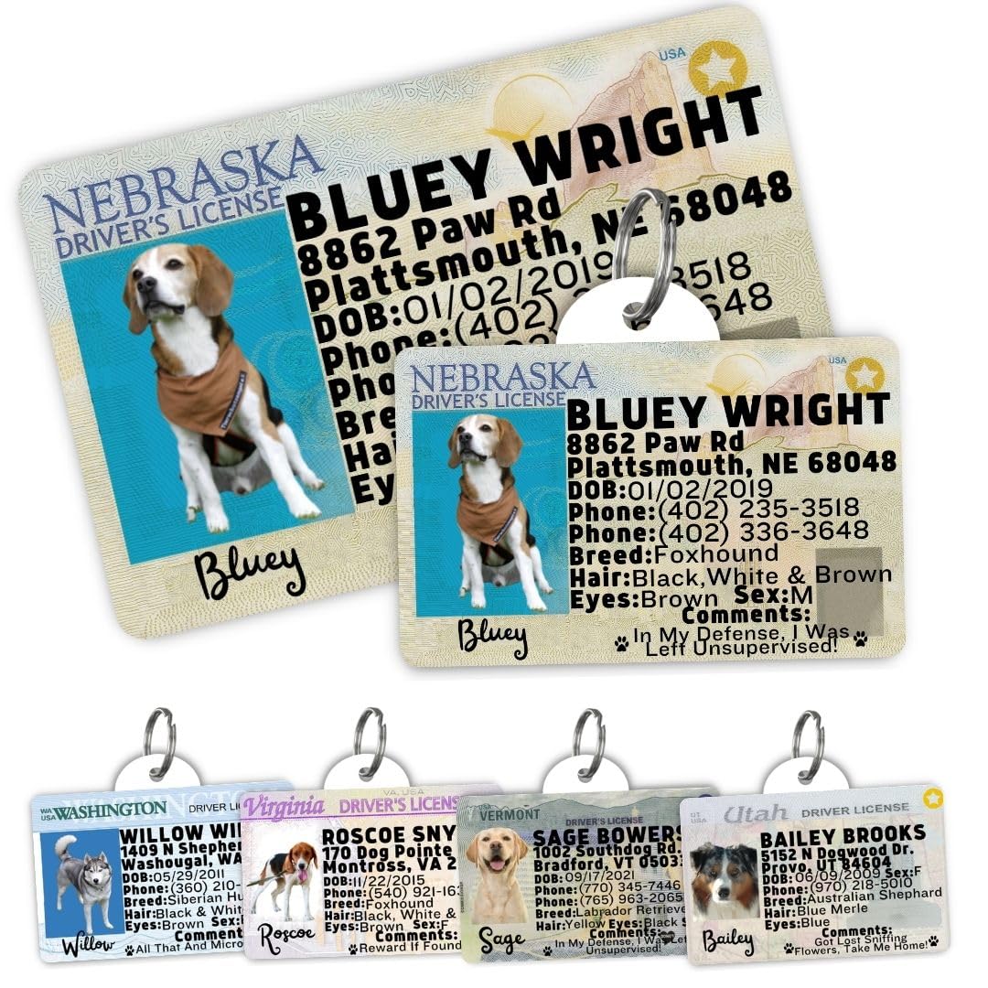Personalized Pet ID Tag