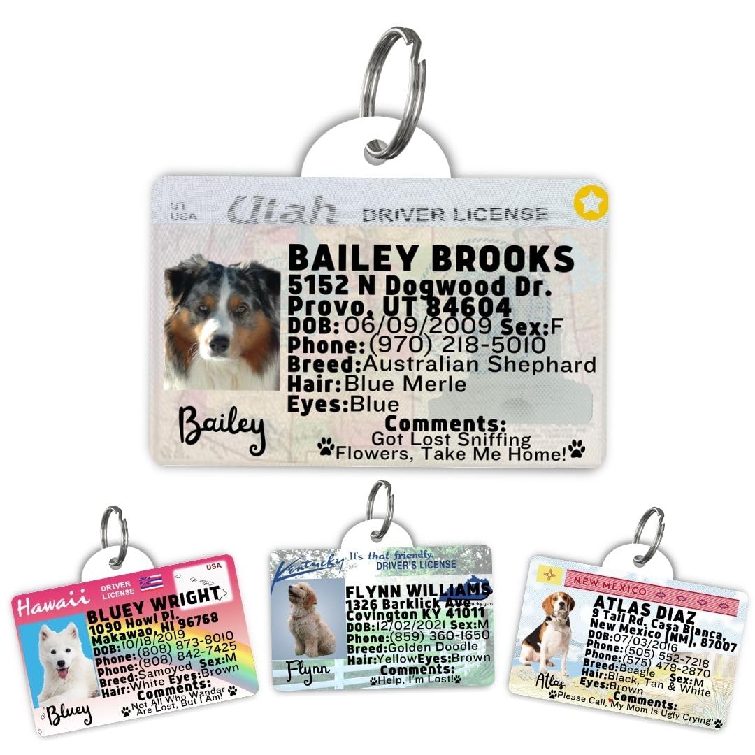 Personalized Pet ID Tag