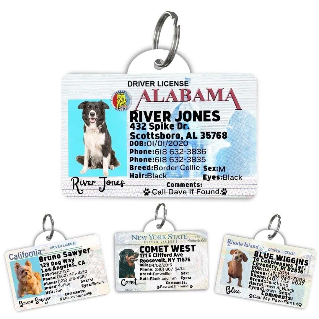 Personalized Pet ID Tag
