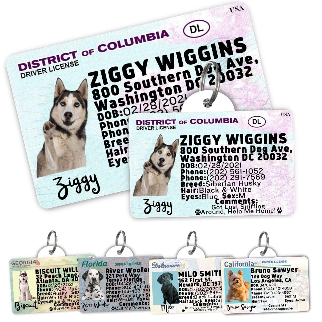 Personalized Pet ID Tag