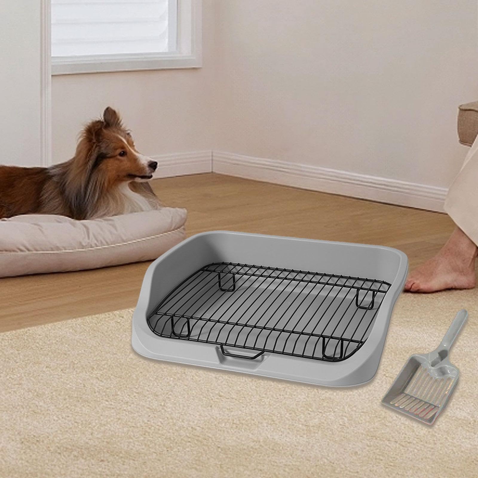 Large Pet Potty Training Tray