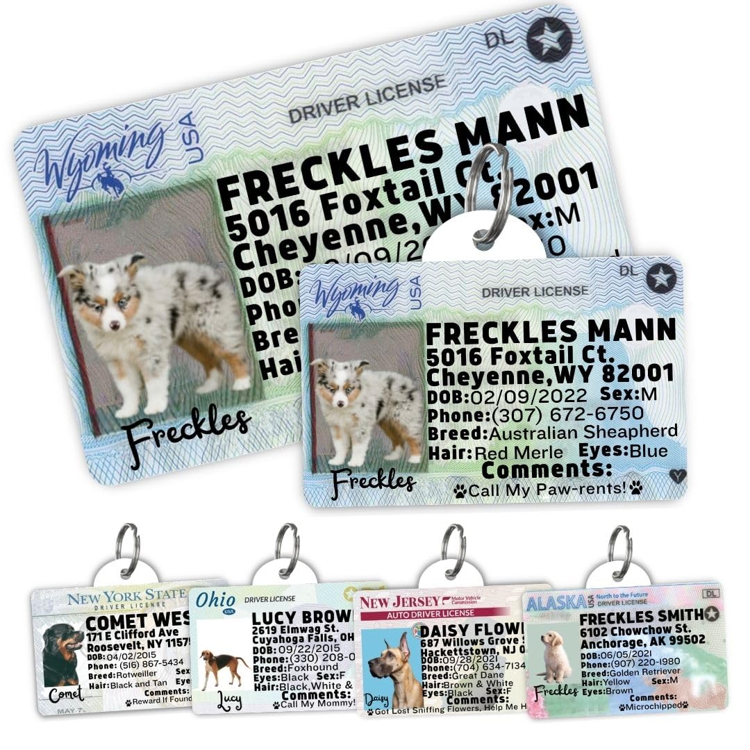 Personalized Pet ID Tag