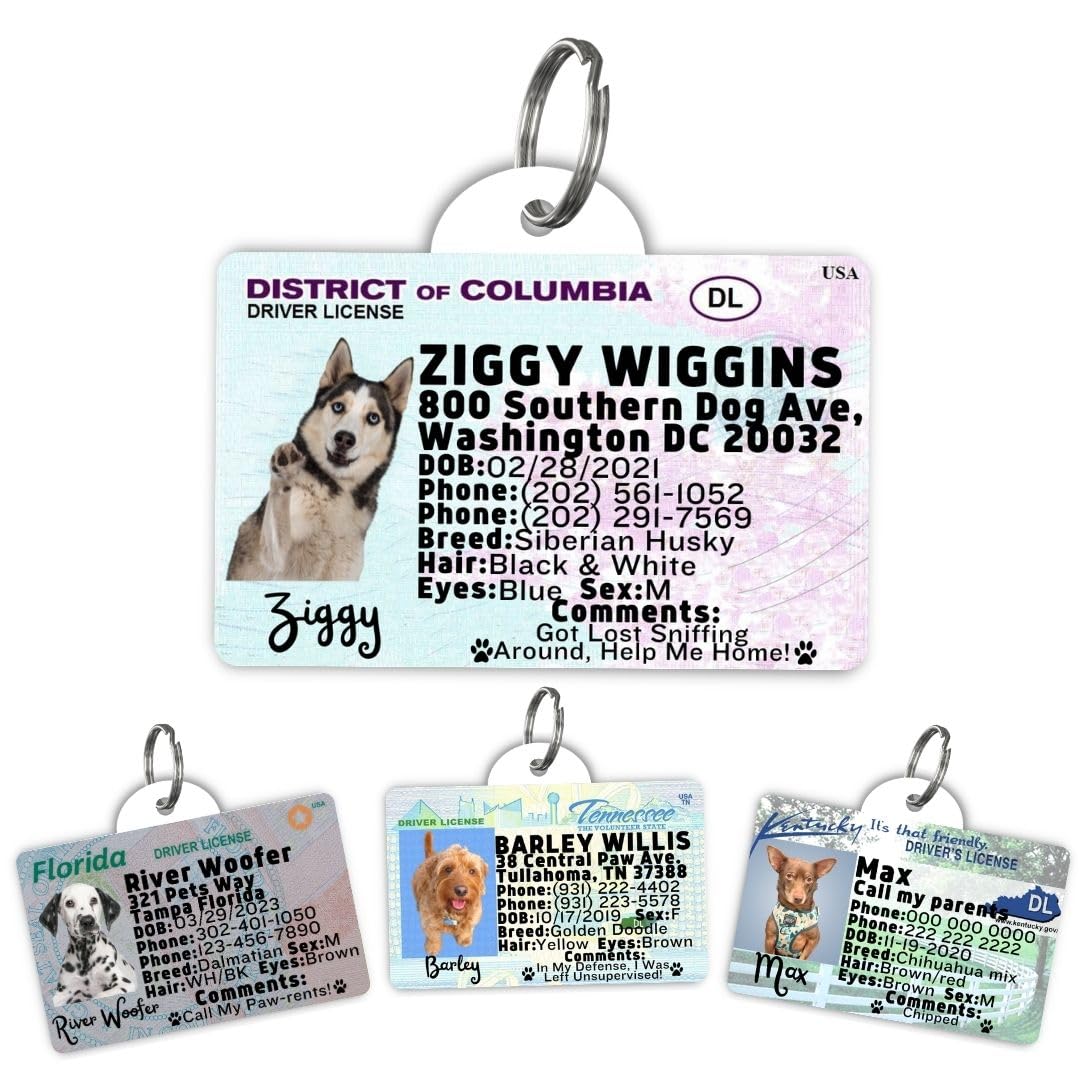 Personalized Pet ID Tag
