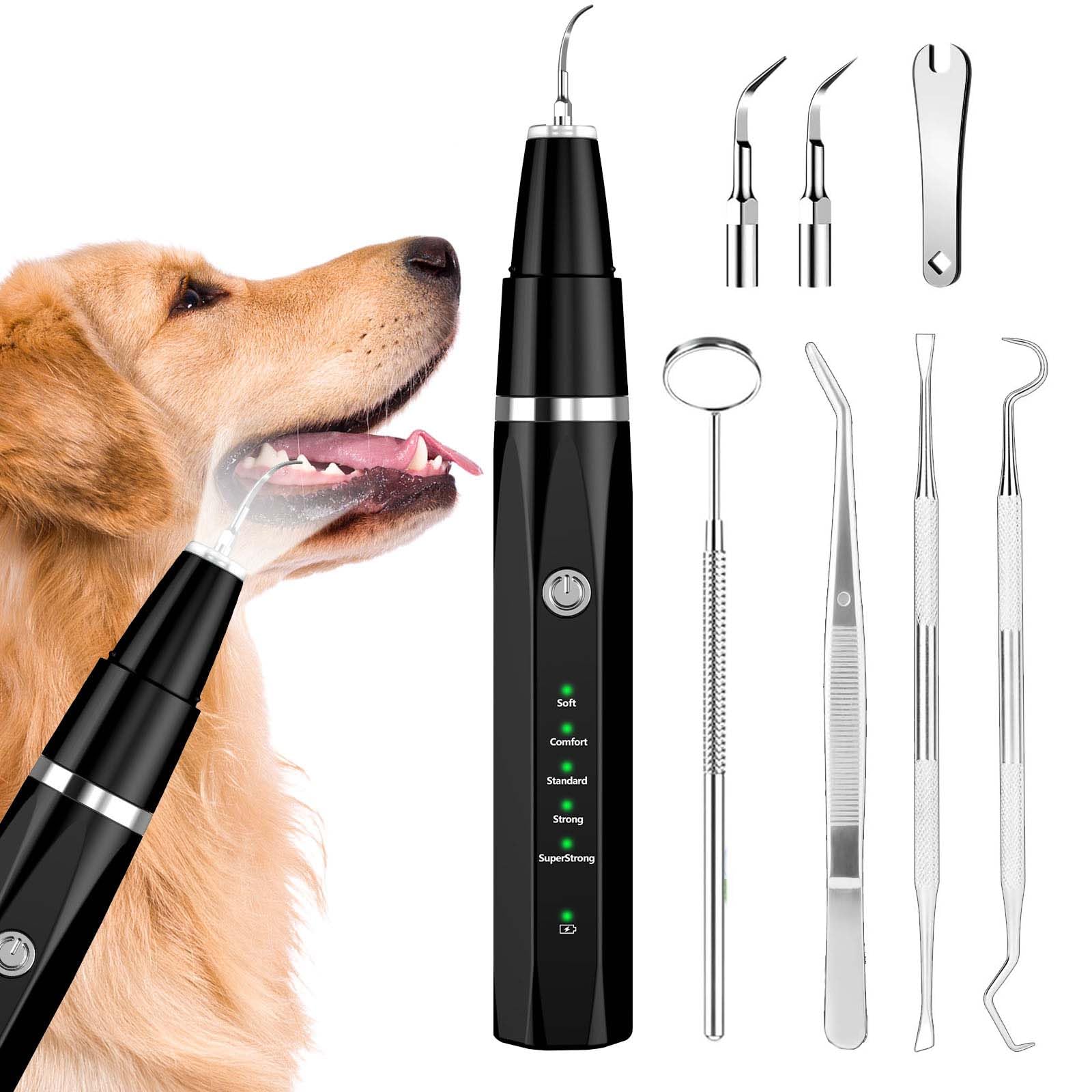 Ultrasonic Pet Plaque Remover