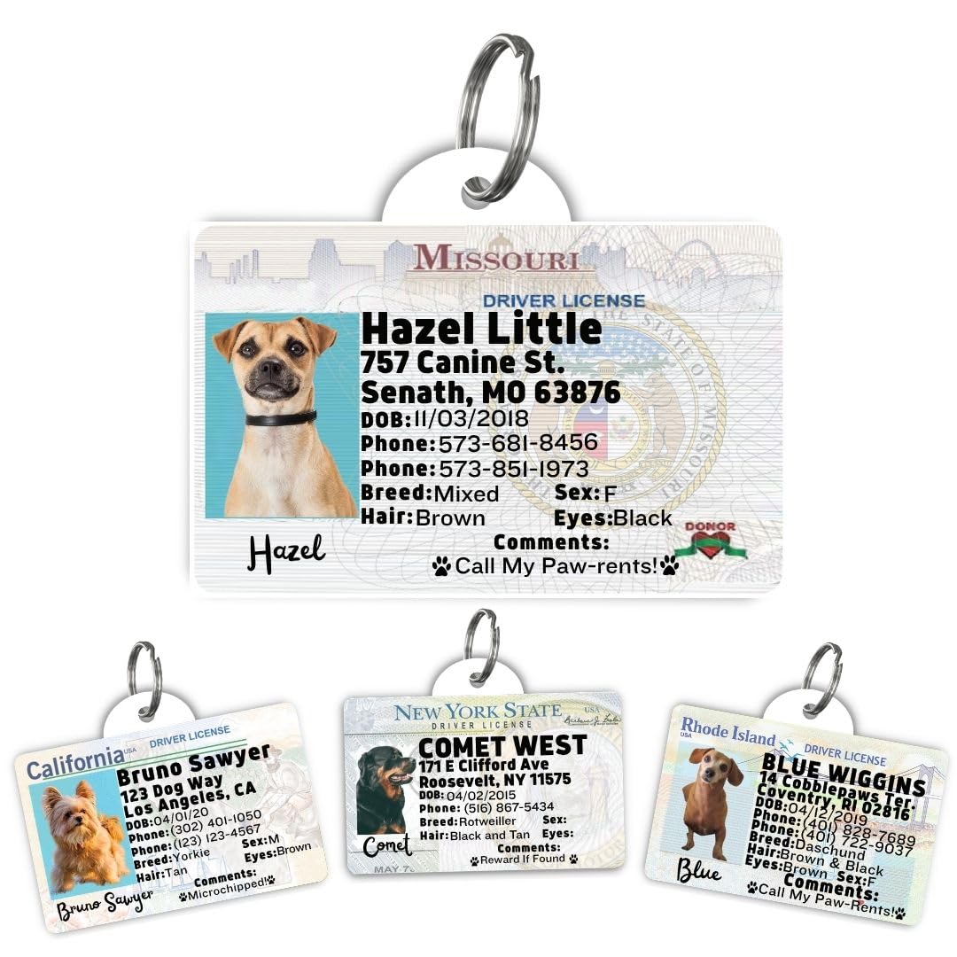 Personalized Pet ID Tag