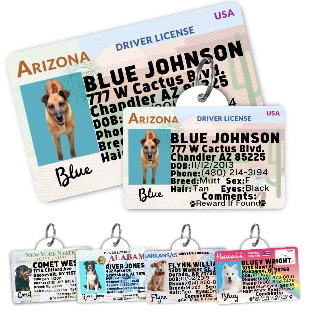 Personalized Pet ID Tag