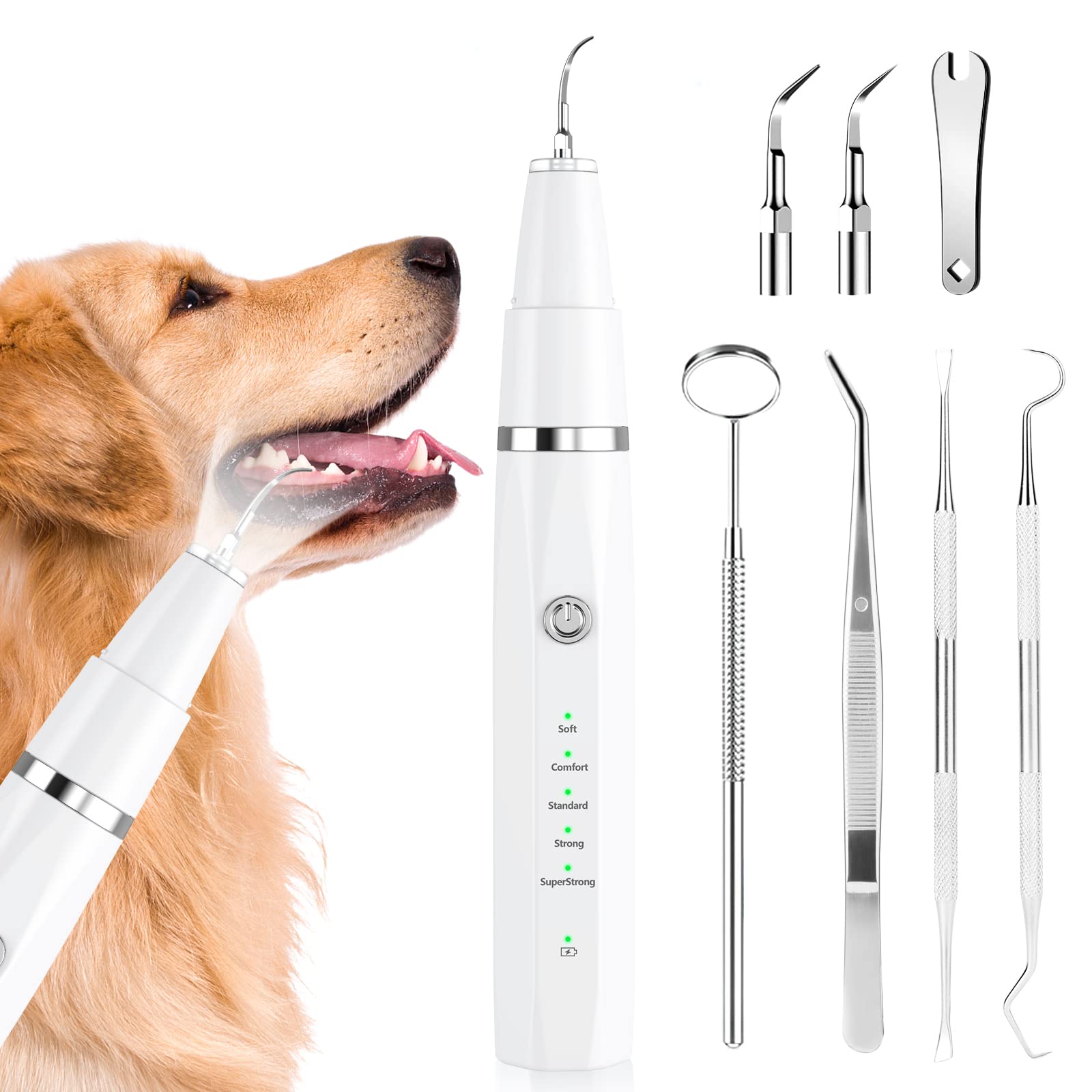 Ultrasonic Pet Plaque Remover