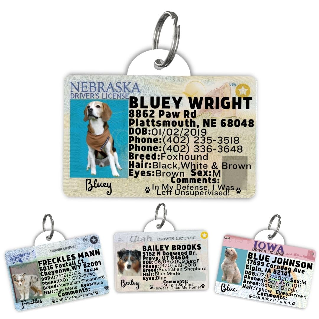 Personalized Pet ID Tag