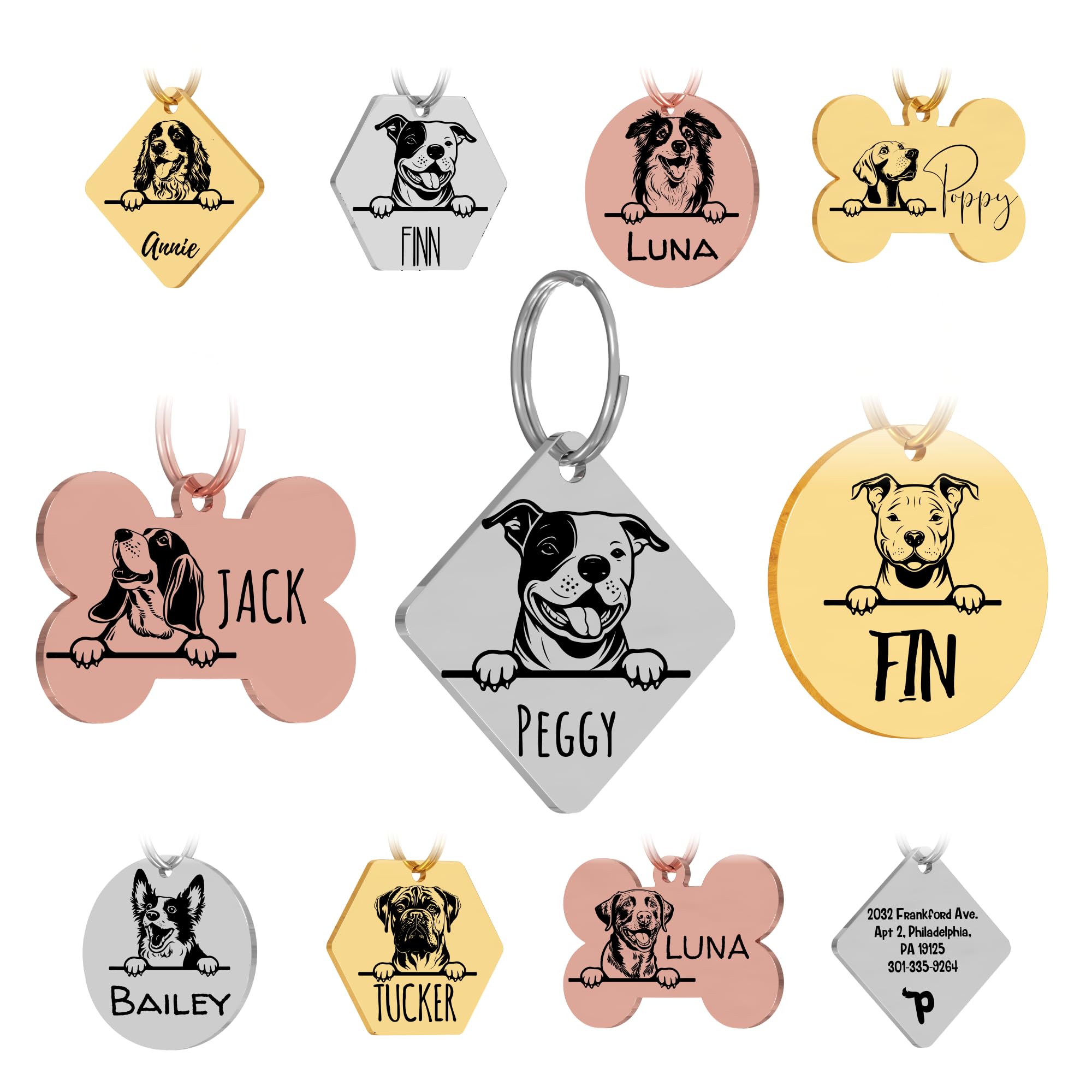 Personalized Stainless Steel Dog ID Tag