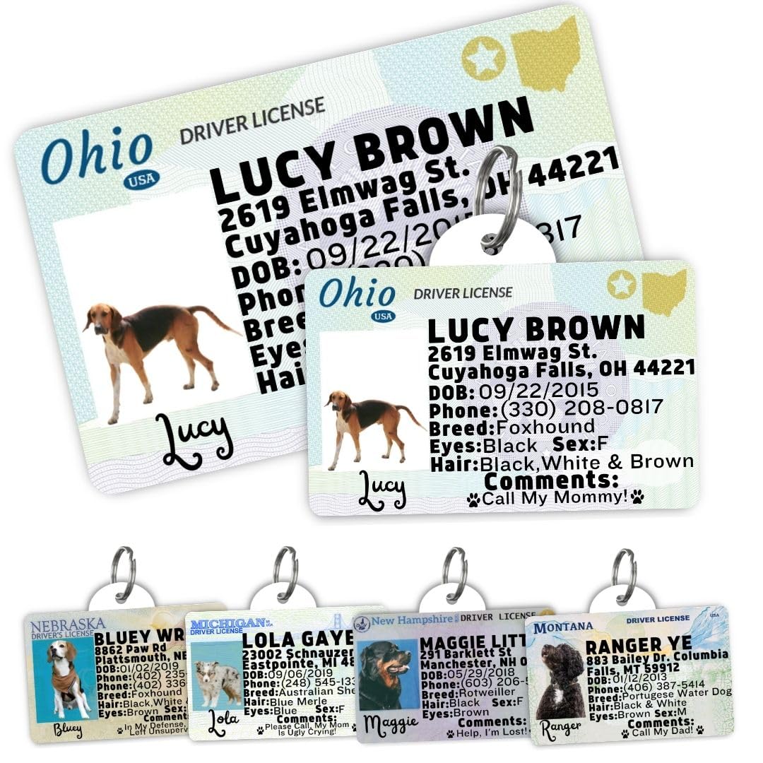 Personalized Pet ID Tag
