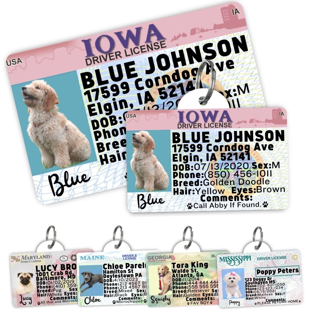 Personalized Pet ID Tag