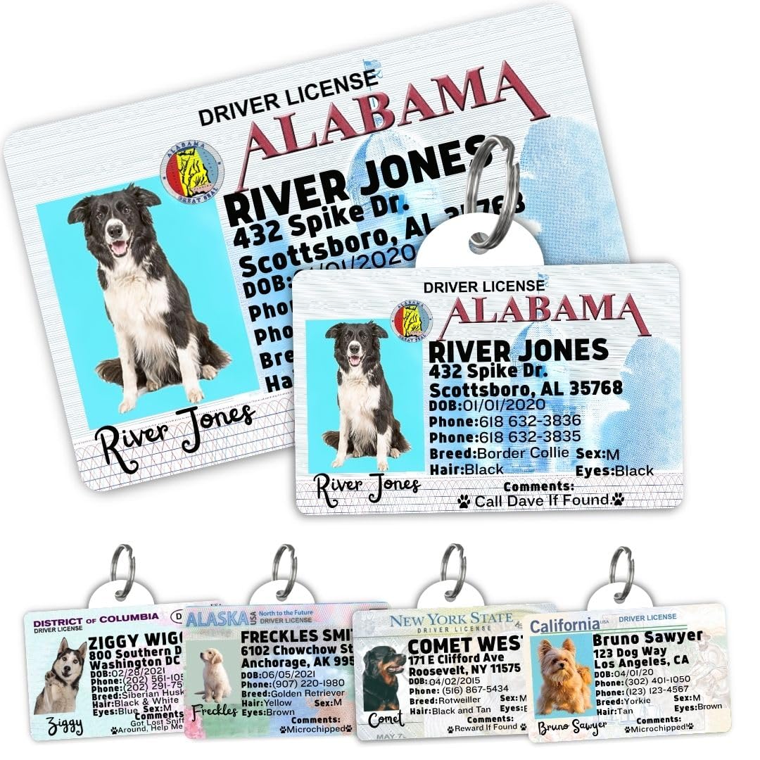 Personalized Pet ID Tag