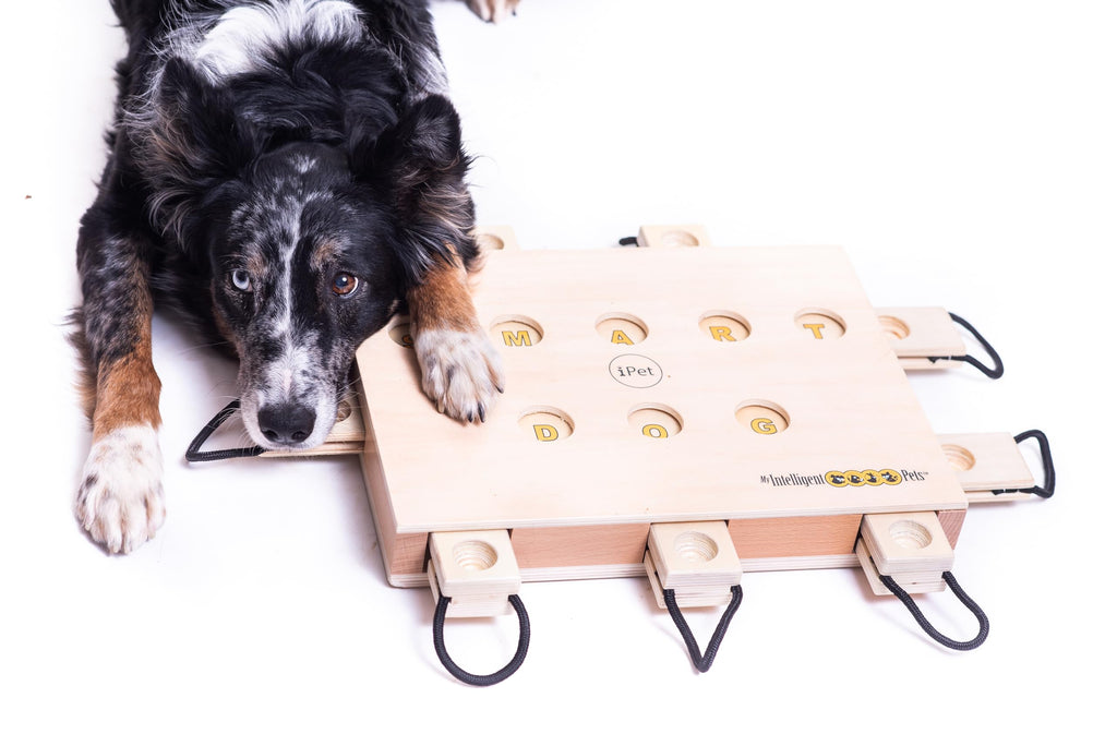 My Intelligent Dogs Interactive Toys