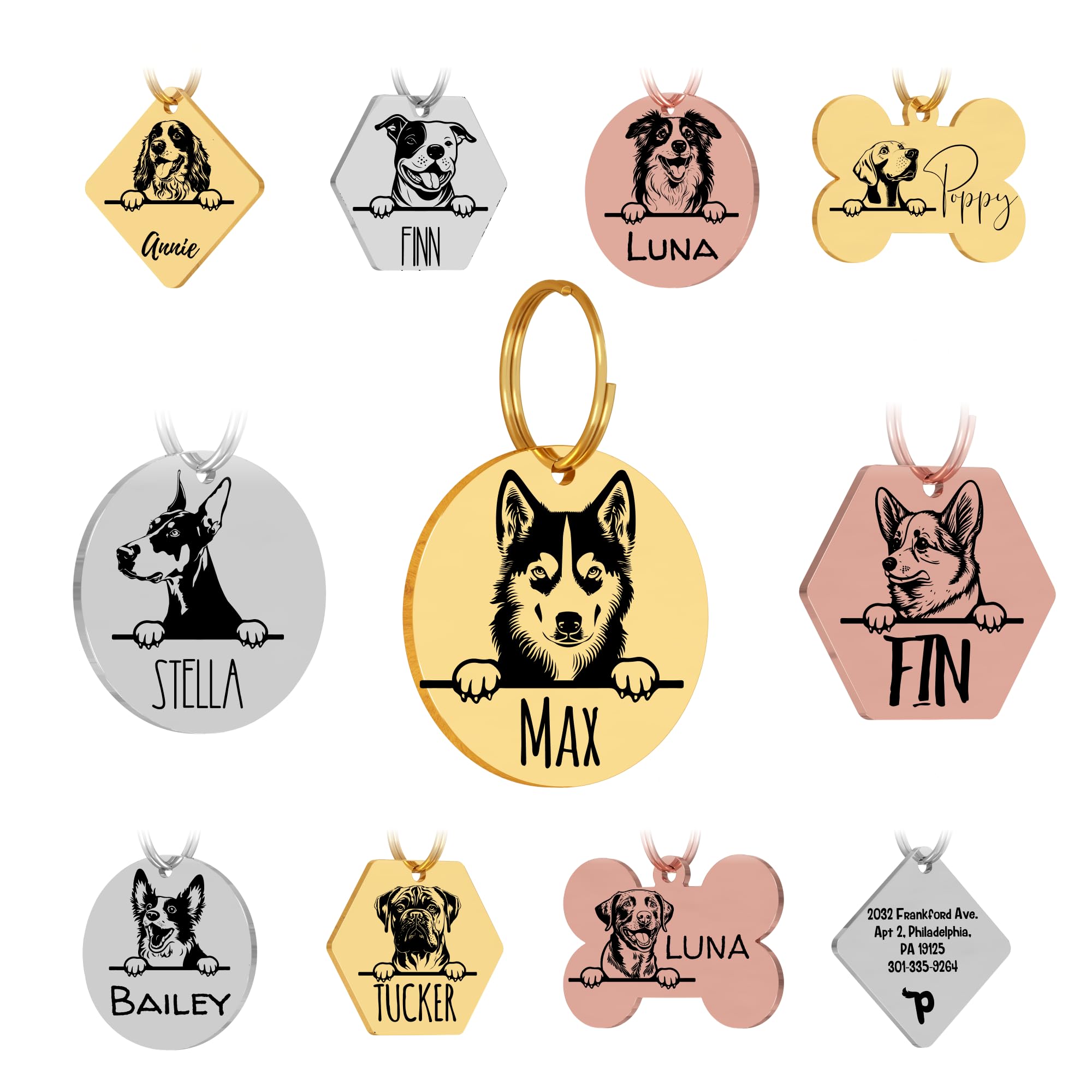 Personalized Stainless Steel Dog ID Tag