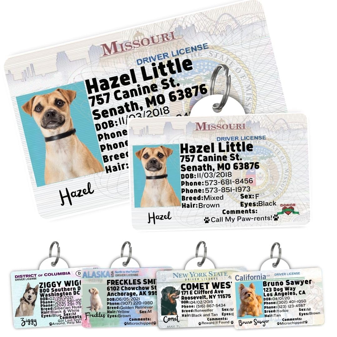 Personalized Pet ID Tag