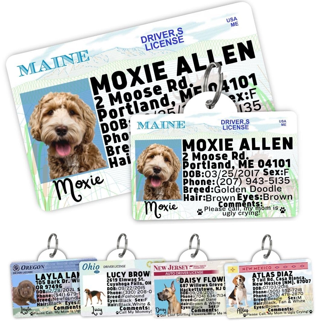 Personalized Pet ID Tag